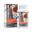 COSEQUIN® Maximum Strength Plus MSM Chewable Tablets Online