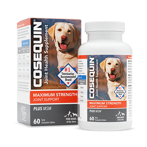 COSEQUIN® Maximum Strength Plus MSM Chewable Tablets Online