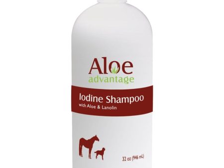 ALOE ADVANTAGE IODINE SHAMPOO (1 QT) Online now