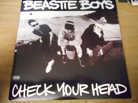 Check Your Head 180 Gram Reissue Supply