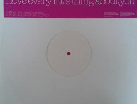 Rhianna - I Love Every Little Thing About You (Knee Deep Remixes) (12 , Promo, W Lbl) (Very Good Plus (VG+)) Sale