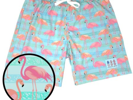 Flamingo Paradise Swimsuit Online