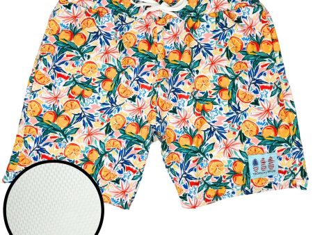 Florida Oranges Swimsuit Shorts Cheap